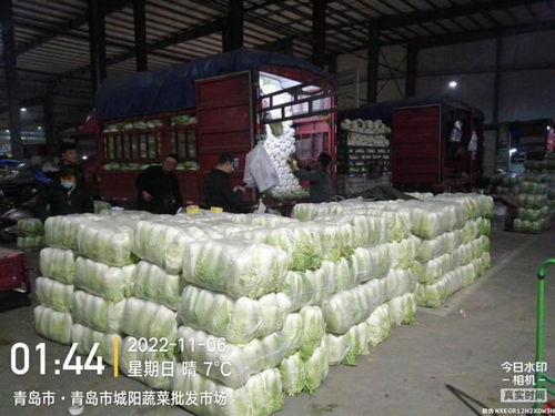 青島五大批發(fā)市場保障市民“菜籃子”供應(yīng)，零售價格持續(xù)走低